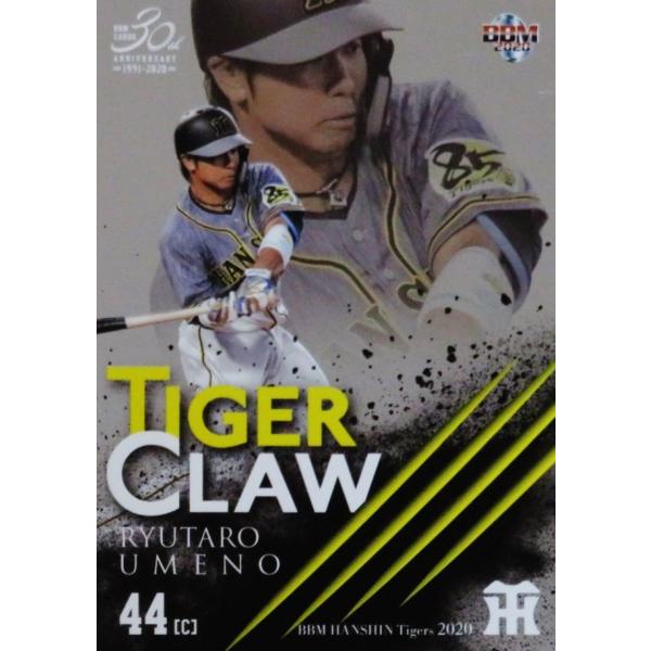 TC4 y~엲YzBBM _^CK[X 2020 CT[g [Tiger Claw]