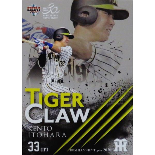 TC7 �y�������l�zBBM ��_�^�C�K�[�X 2020 �C���T�[�g [Tiger Claw]