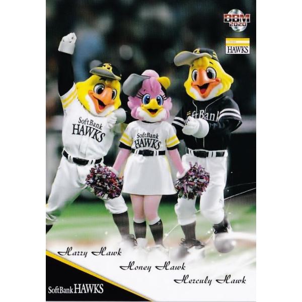 ハリーホーク jambalaya_20sh-67