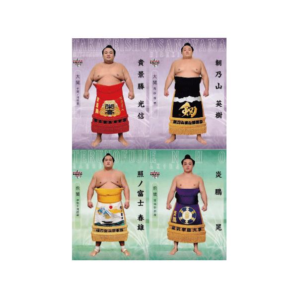 大相撲カード セット」の人気商品一覧・価格比較 - 価格.com