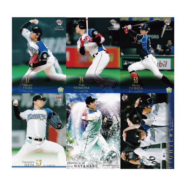 ykC{nt@C^[Yz2021BBMx[X{[J[h 2nd [`[ʃM[Rv[gZbg] S25