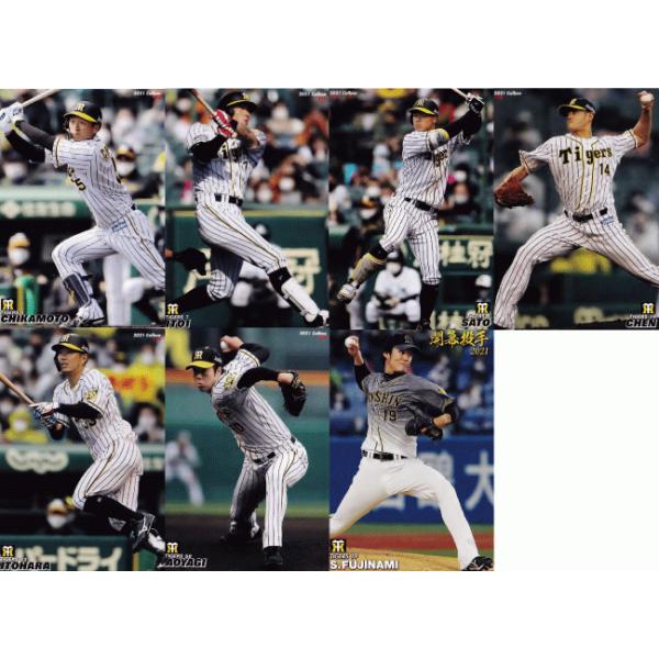 【カルビープロ野球カード】阪神タイガース　選手特集② 阪神タイガース カルビープロ野球チップスカード 2025第二弾 7枚