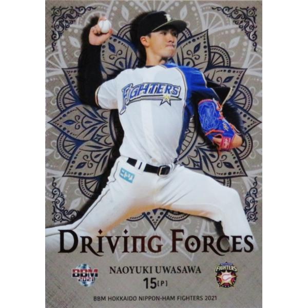 DF1 y򒼔VzBBM kC{nt@C^[Y 2021 CT[g [Driving Forces]