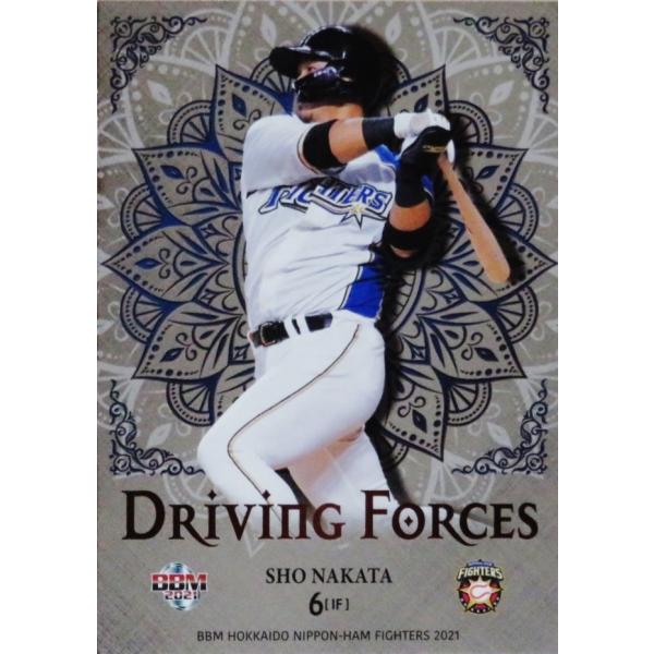 DF5 ycāzBBM kC{nt@C^[Y 2021 CT[g [Driving Forces]