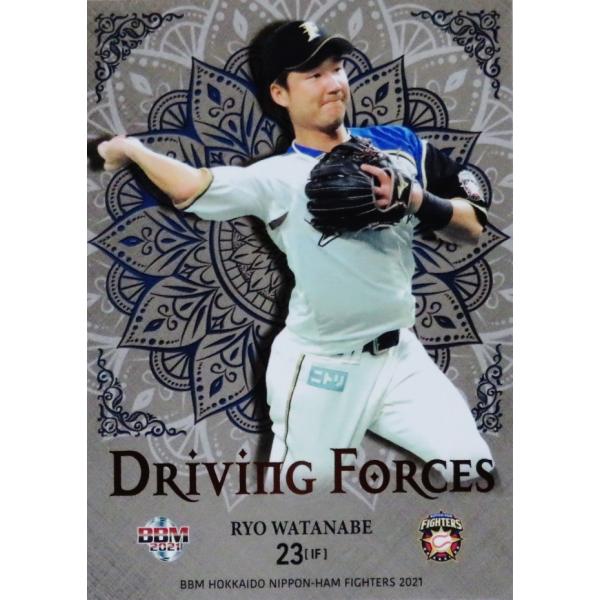 DF6 yn糗ȁzBBM kC{nt@C^[Y 2021 CT[g [Driving Forces]