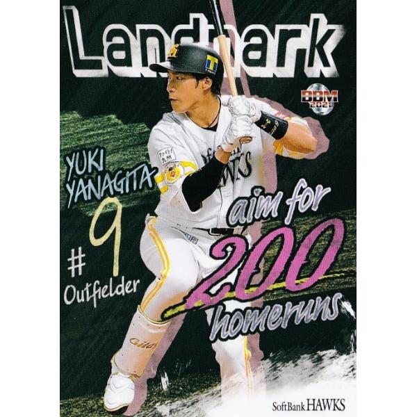 81 ycIzBBM \tgoNz[NX 2021 M[ [Landmark]