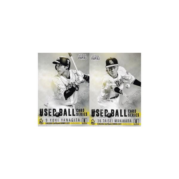 E ycI/q听z2021 \tgoNz[NX [Yh{[V[Y [TJ[h]