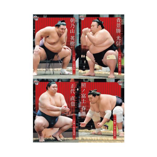 大相撲カード セット」の人気商品一覧・価格比較 - 価格.com