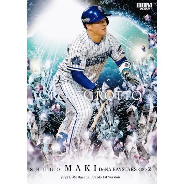 CG17yqG/lDeNAxCX^[Yz2022BBMx[X{[J[h 1st M[ [CROSS GROTTO]