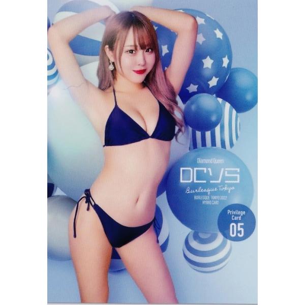 NV5 yDC\zqbc o[XN2022 nCubgJ[h v[VJ[h