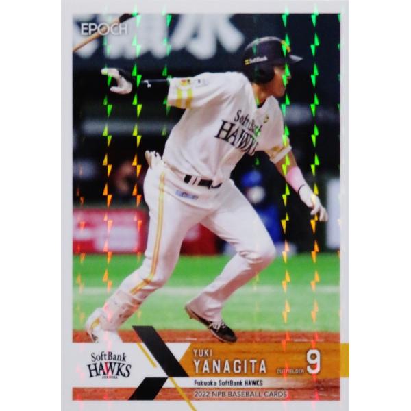 353 ycI/\tgoNz[NXzG|bN 2022 NPBv싅J[h [M[p]