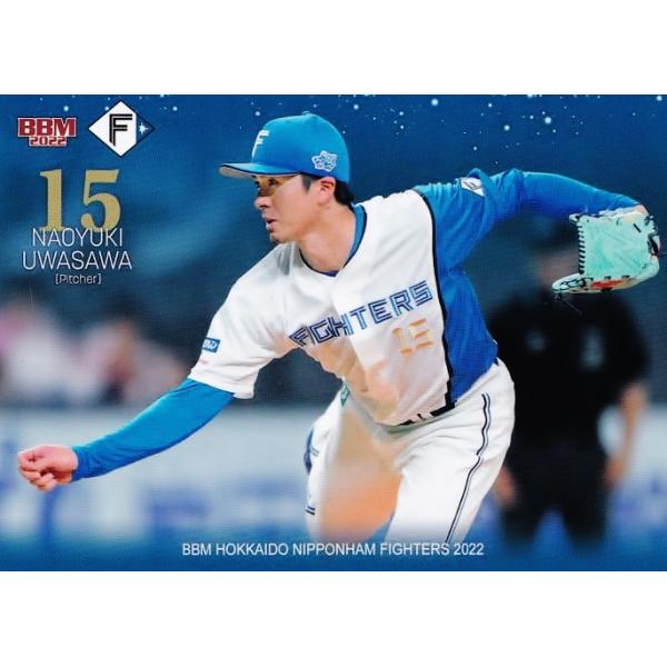 4 y򒼔VzBBM kC{nt@C^[Y 2022 M[