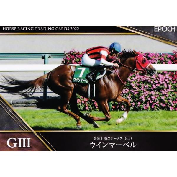 51 【ウインマーベル】エポック ホースレーシングカード2022 レギュラー [2022年前半戦重賞優勝馬/葵S]
