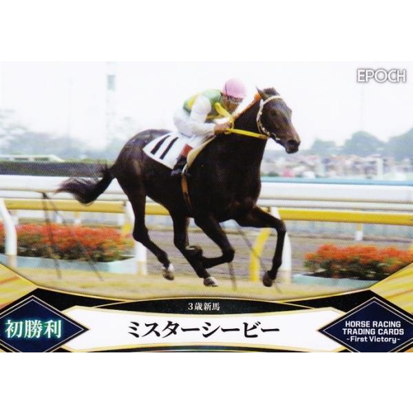 1 y~X^[V[r[zG|bN2022 z[X[VOJ[h -First Victory- M[