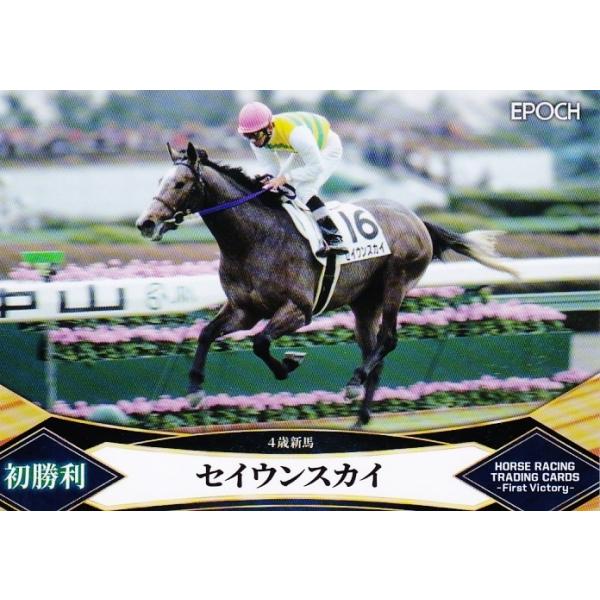 30 yZCEXJCzG|bN2022 z[X[VOJ[h -First Victory- M[