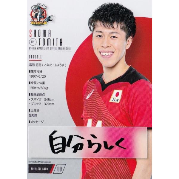 NV09 yxcn/bDlz2022 _NIPPON S{jqo[{[ ItBVJ[h v[VJ[h