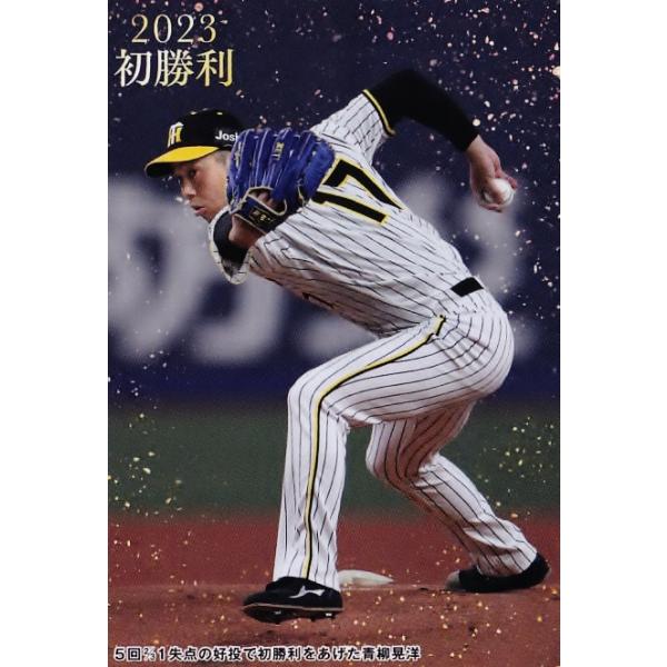 jambalaya_23cp-2-fw09