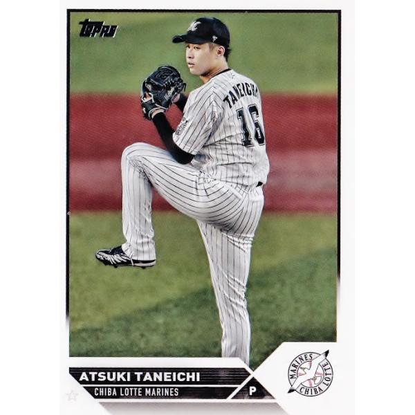 元千葉ロッテ酒井投手npbバット 元千葉ロッテ酒井投手npbバット 元千葉