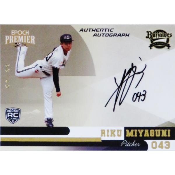 jambalaya_24bspe-aa-rm