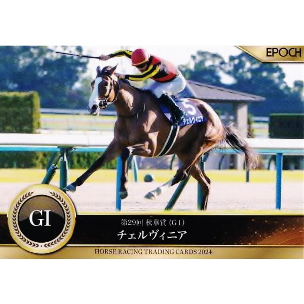 ホースレーシングカード2024下半期 サラブレッドコレクション 競馬 JRA