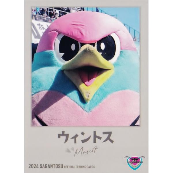 34 【ウィントス】[クラブ発行]2024 サガン鳥栖 オフィシャルカード