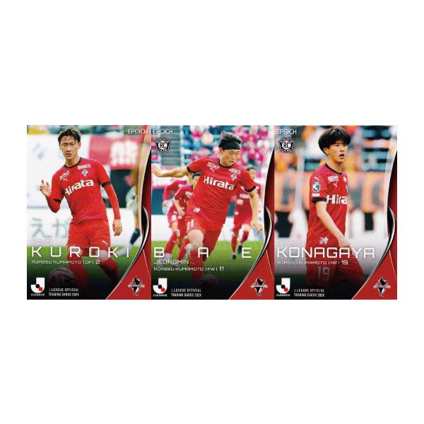 ロアッソ熊本 イヤーブック 2015〜2024 10冊 美品 ロアッソ熊本 イヤーブック 2015〜2024 10冊 美品 ロアッソ熊本