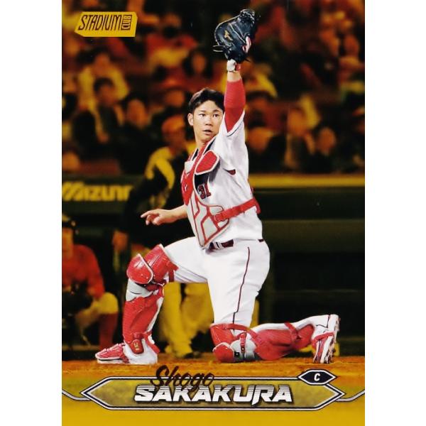 プロ野球　広島カープ　坂倉将吾　バット NPBマーク 支給品 jambalaya_24topsc-099-50p