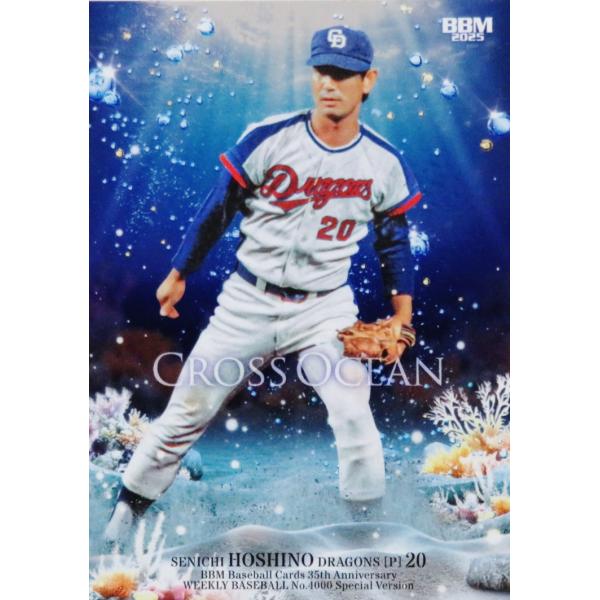 未開封 プロ野球 DXカード ベースボールカード 33枚袋入り  表紙:星野仙一 未開封 プロ野球 DXカード ベースボールカード 33枚袋入り 表紙:星野