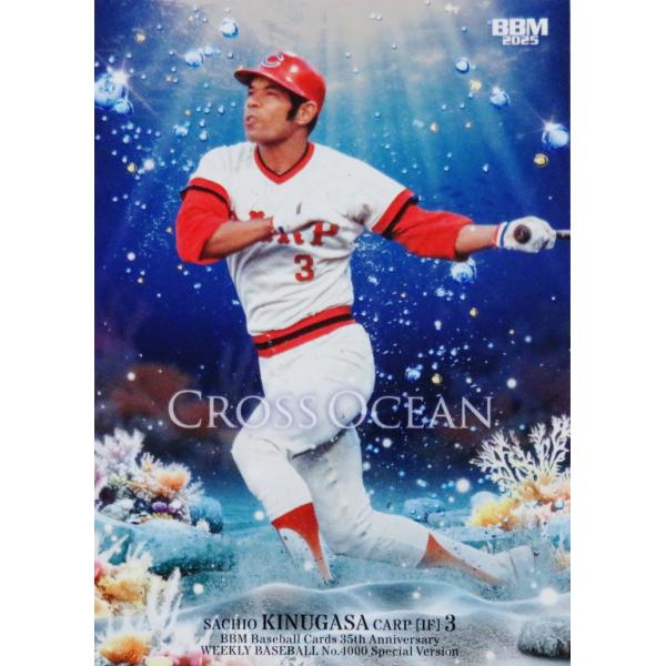 プロ野球カード保存版 79年日本シリーズ 衣笠祥雄さん プロ野球カード保存版 79年日本シリーズ 衣笠祥雄さん プロ野球カード