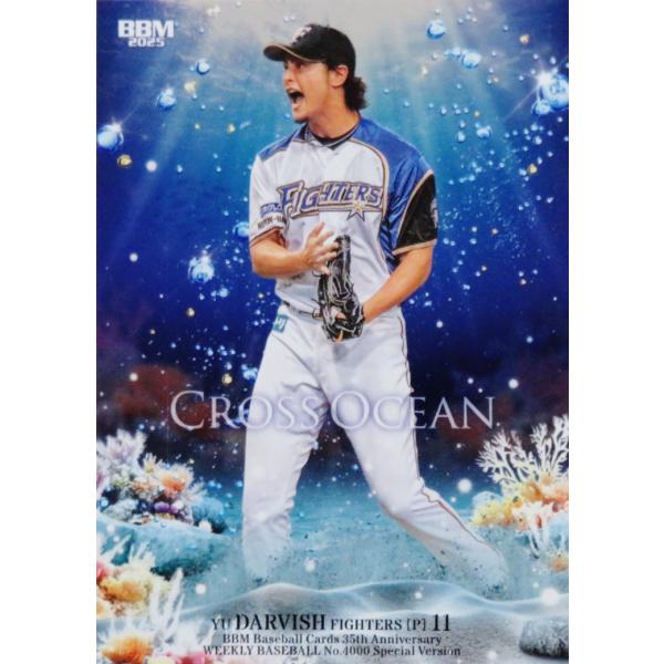 ダルビッシュ有　プロ野球カード カルビー - ダルビッシュ有 シークレットカードセット プロスピ版プロ