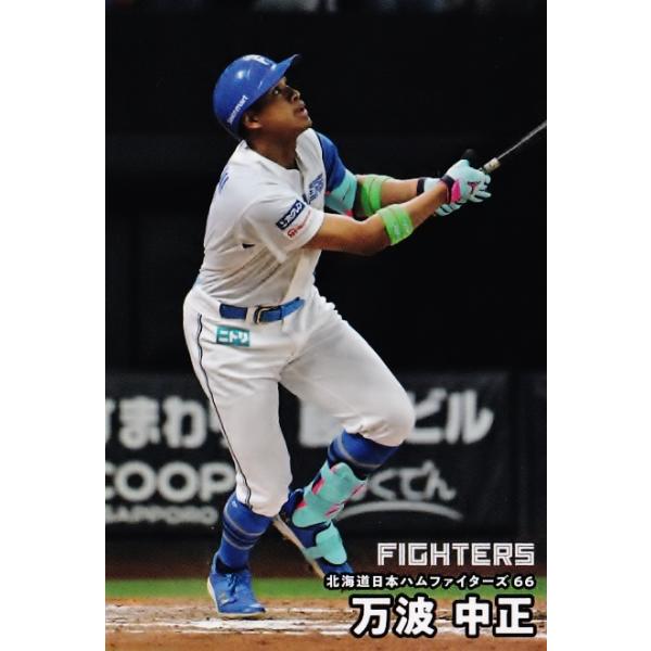 jambalaya_25cp-2-100