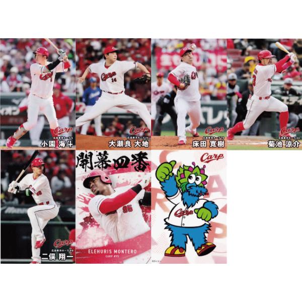 【カルビープロ野球カード】広島東洋カープ　選手特集② Callbee プロ野球チップスカード図鑑 vol.02 広島東洋カープ |本