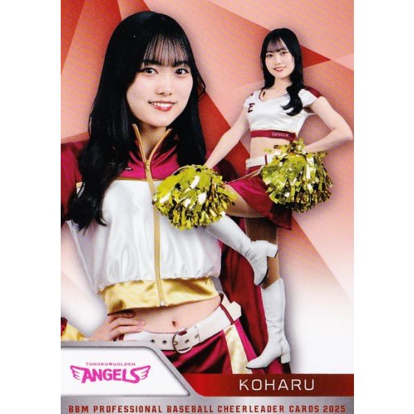 jambalaya_25dh-a05
