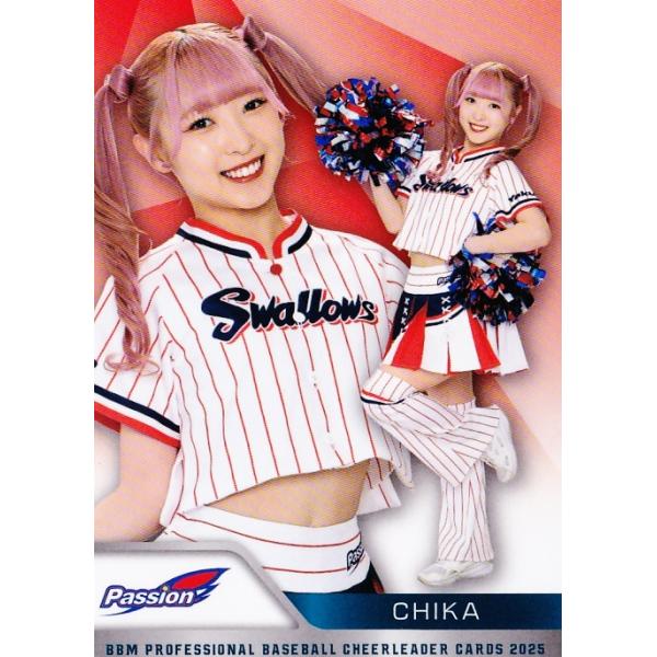 [希少品] 応援グッズ　チアホーン　プラ製　4連　新品・未使用※値下げ不可 ポンポンネックストラップ | グッズ／小物 | チアTシャツ・チアパン