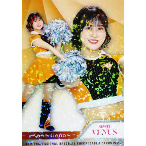 jambalaya_25dh-v03p