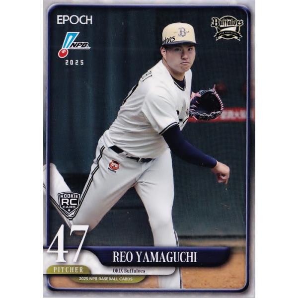 希少プロ野球ホームランカード jambalaya_25epnpb-217