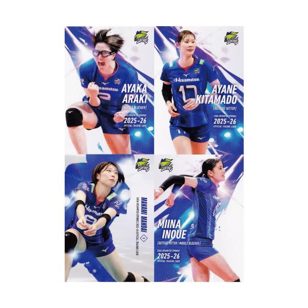 全100種セット　KARA オフィシャルトレーディングカード KARA Official Card Collection -PREMIUM JAPAN EDITION- : KARA