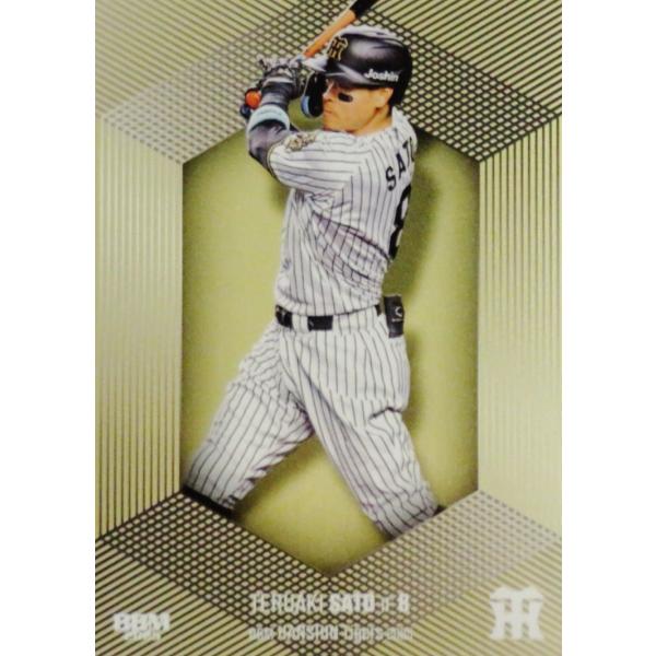 と*ん様 阪神タイガースサインボールセット 15個 BBM認証書付き 超豪華