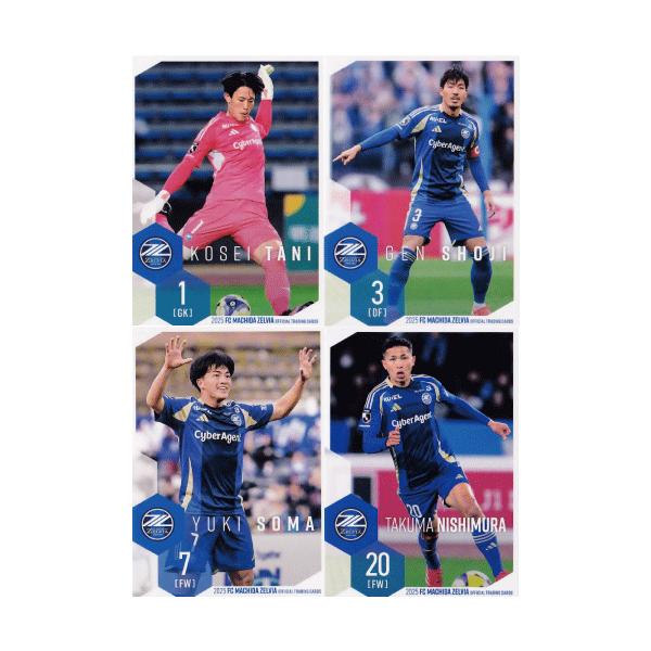 レギュラーコンプリートセット/全39種(＋ノベルティーカード1種