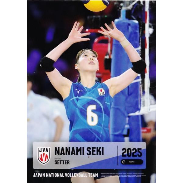VNL 2025 バレーボール女子日本代表 関菜々巳選手 直筆mini色紙 25 【関菜々巳】2025 バレーボール女子日本代表 トレーディングカード