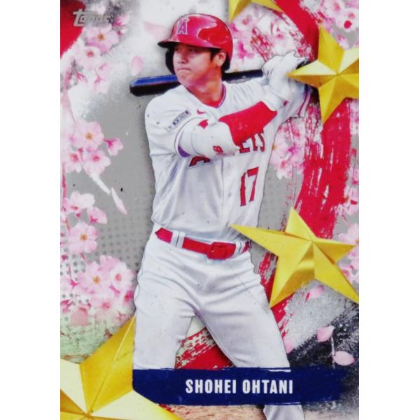 jambalaya_25mlb1ts-soj16