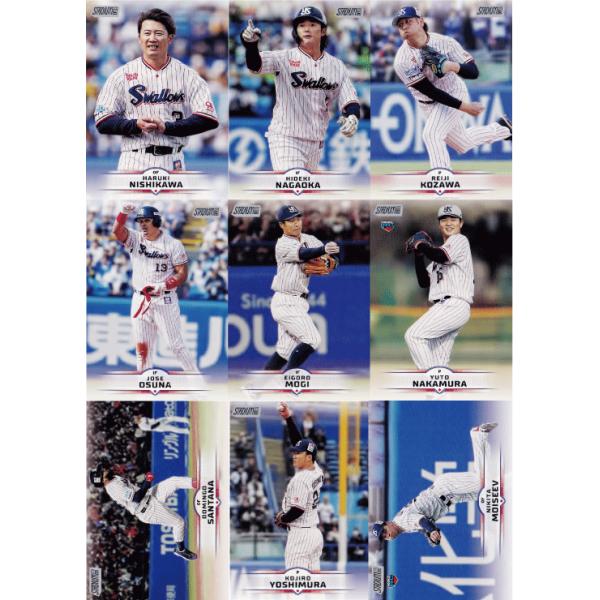 NPB未開封バット　ヤクルトスワローズ NPB未開封バット ヤクルトスワローズ