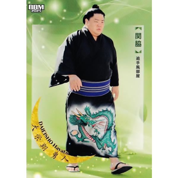 BBM 大相撲カード TREASURE 大栄翔 25枚限定