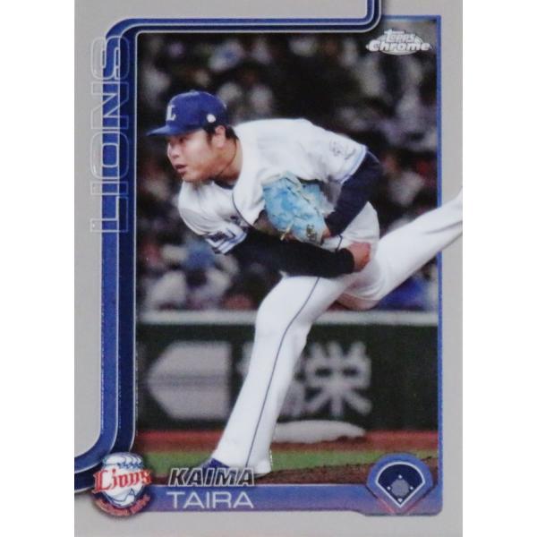 プロ野球 カード 西武ライオンズ 楽天市場】NPB プロ野球カード 298 中村剛也 埼玉西武ライオンズ