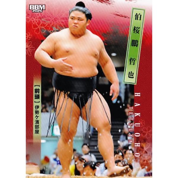 大相撲　ステッカー　伯乃富士　伯桜鵬 jambalaya_26sumo-08