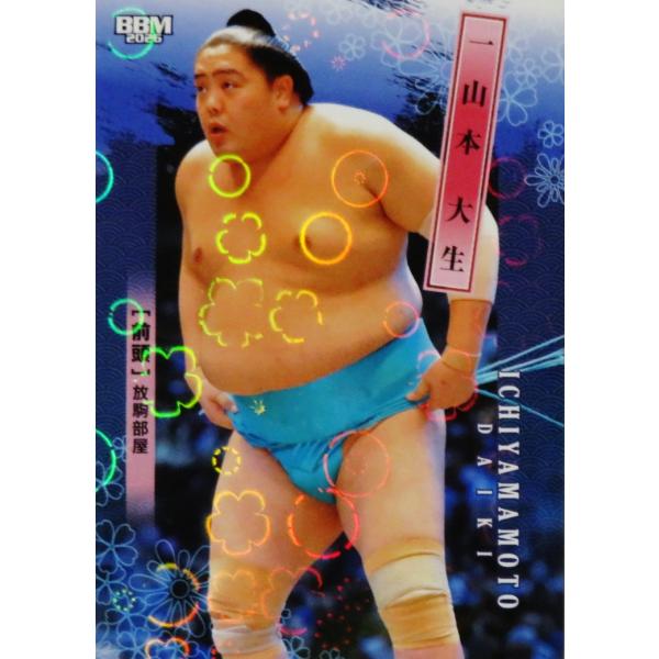 jambalaya_26sumo-22hp
