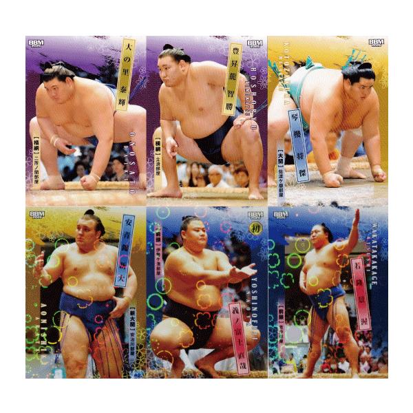 フルコンプリートセット/全146種】BBM2026 大相撲カード (レギュラー90