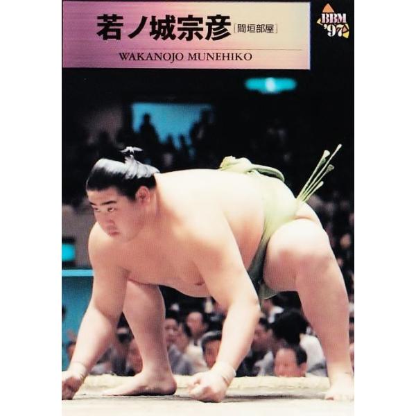 38 若ノ城 宗彦 m 1997 大相撲カード レギュラー 97sumo 038 スポーツカード ジャンバラヤ 通販 Yahoo ショッピング