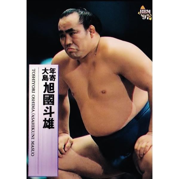 絶版97初版限定大相撲カード全コレクション203枚1BOX正規シュリンク未展示品 Amazon.co.jp: 絶版97初版大相撲カード全コレクション203枚1BOX