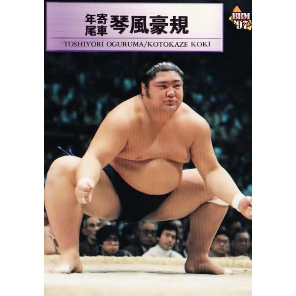 カルビー大相撲カード 20枚 昭和 マニア カルビー大相撲カード 20枚 昭和 マニア カルビー大相撲カード